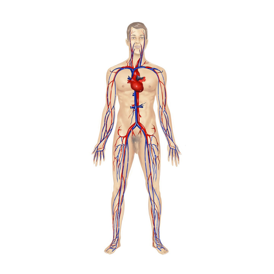 Medical and healthcare equipment